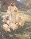 the_good_shepherd_sallman_l.jpg