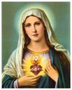 virgin-Mary_281229.jpg