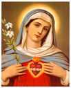 virgin-Mary_281329.jpg