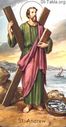 St-Takla_org__12-Apostles__Apostle-St-Andrew.jpg