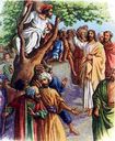 Zacchaeus004.jpg