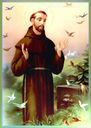 saint-francis-372x522.jpg