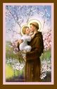 June_13_St__Anthony_Padua.jpg