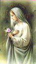 bvm00096.jpg