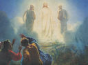 image1362-transfiguration2a.jpg