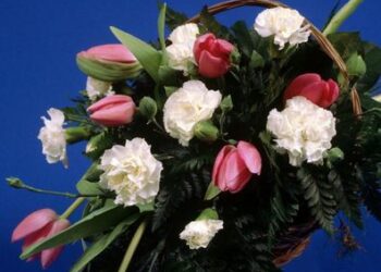 الحرية وحرية المسيحي – الاستاذ موريس آكوب