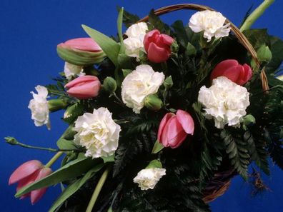 الحرية وحرية المسيحي – الاستاذ موريس آكوب