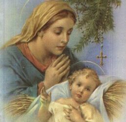 سيكولوجية الطفولة – الأستاذ موريس آكوب