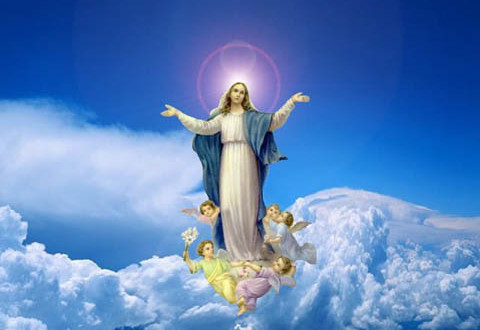 تساعية عيد انتقال العذراء – ١٥ آب