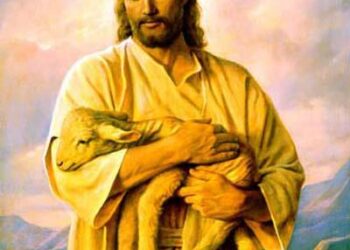 “هل أنت يسوع؟” -قصة وعبرة-