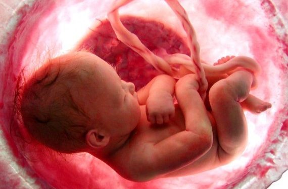 حرية الأم أم حياة الجنين؟ – الإجهاض