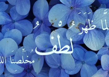 سلسلة ثمار الروح (اللطف3)