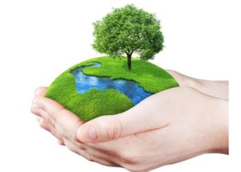 النص الثالث والعشرون: الكنيسة المارونية والأرض – المجمع البطريركي الماروني