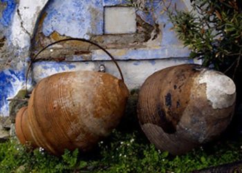 “أمّا ثمر الروح فهو طول الأناة“ – الفضيلة الصعبة والثمينة