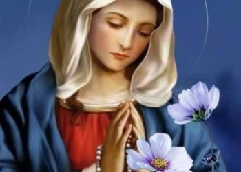 ثمر الروح الوداعة – قدس الأب كيرلس منصور