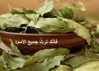 لماذا يرشون ورق الغار يوم سبت النور في الكنيسة (الطقس البيزنطي الشرقي)؟