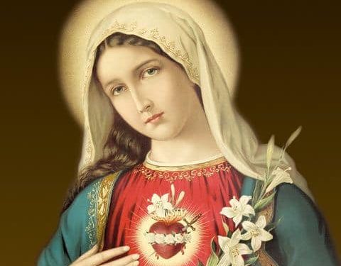 تساعية قلب مريم المتألم الطاهر – (يقع العيد هذه السنة في ٨ حزيران)