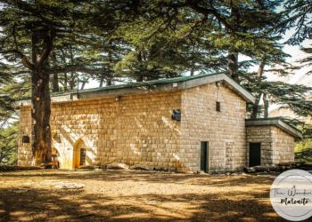 كنيسة التجلّي – غابة الأرز – كنائس لبنان