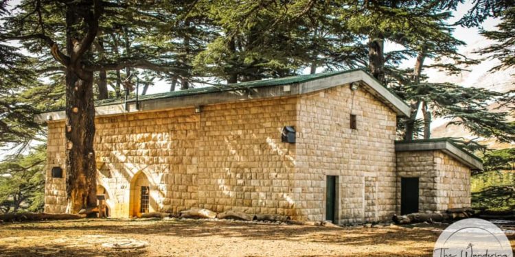 كنيسة التجلّي – غابة الأرز – كنائس لبنان