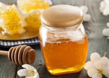 الخلّ والعسل – قصة وعبرة