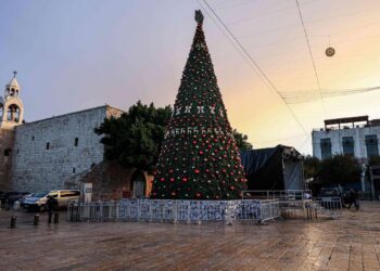 بالنسبة لشجرة عيد الميلاد – الشيخ أثناسيوس ميتيلينيوس