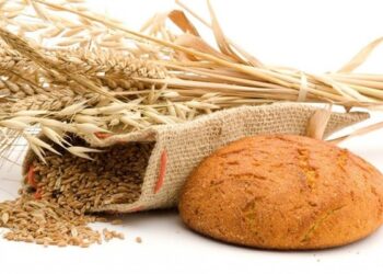 الصوم تطهير للنفس وللجسد