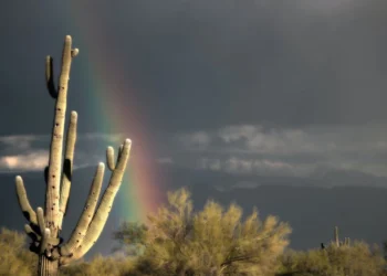 عهدُ الله… لا يُمحى بالمطر