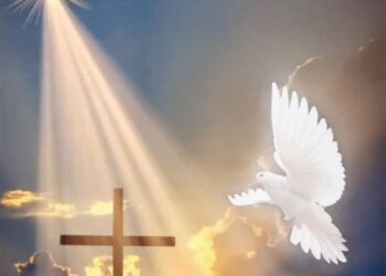 العصفور والصليب – قصة وعبرة