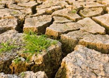صلاة تتلى عند انقطاع المطر