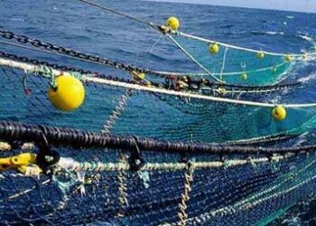 صلاة على شباك صيد