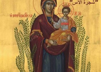 أيقونة والدة الإله “شجرة الآس” – تاريخ الايقونة
