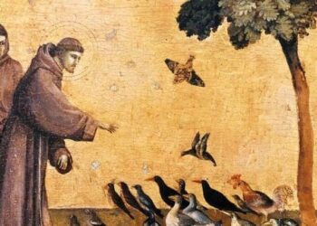 القديس فرنسيس الأسيزي … صديق الخليقة وشاهد على محبَّة الله