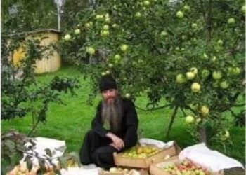 قصة وعبرة: الكاهن الفلّاح