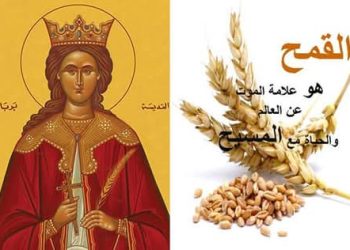 لماذا القمح المسلوق في عيد القديسة بربارة ؟