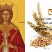 لماذا القمح المسلوق في عيد القديسة بربارة ؟