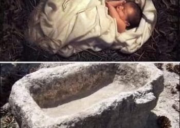 هل تعلم أن وجود يسوع في المذود كان له معنى تاريخي عميق؟ لم يكن الأمر مصادفة!