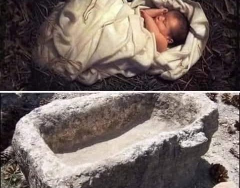 هل تعلم أن وجود يسوع في المذود كان له معنى تاريخي عميق؟ لم يكن الأمر مصادفة!