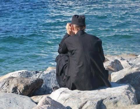 يجب أن نملك قلباً شفوقاً مترفقاً لنحترم كل الخليقة