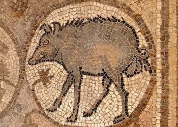 لماذا تتجنب بعض الثقافات والأديان لحم الخنزير بينما تقبله ثقافات وأديان أخرى؟